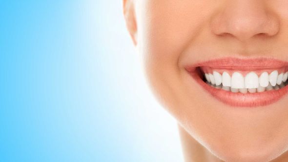 Meet This is it dental team